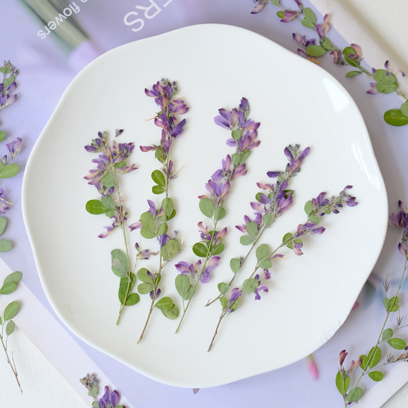 6pcs,nature Lespedeza Formosa  - Resin Art Baby recensie en prijs