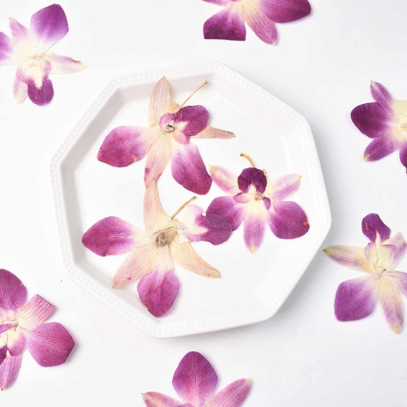 4pcs,Real Pressed Butterfly Or - Resin Art Baby recensie en prijs