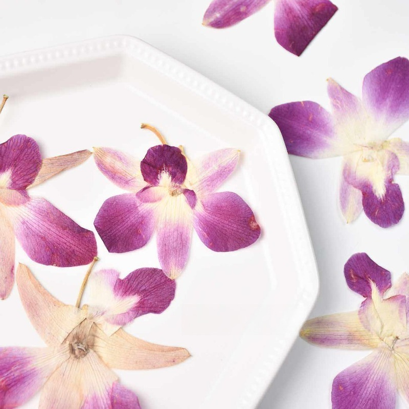 4pcs,Real Pressed Butterfly Or - Resin Art Baby recensie en prijs
