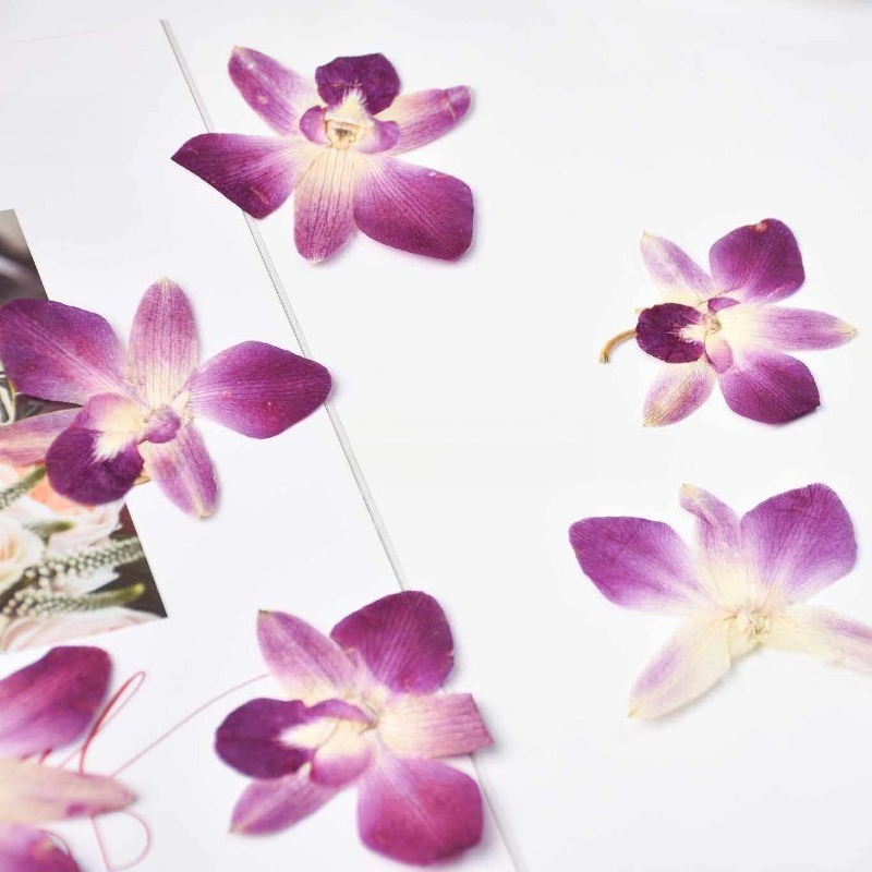 4pcs,Real Pressed Butterfly Or - Resin Art Baby recensie en prijs