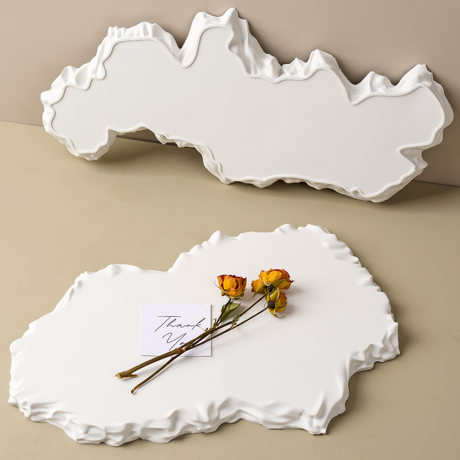 Irregular Large Tray Silicone  - Tray Mold Rectangle recensie en prijs