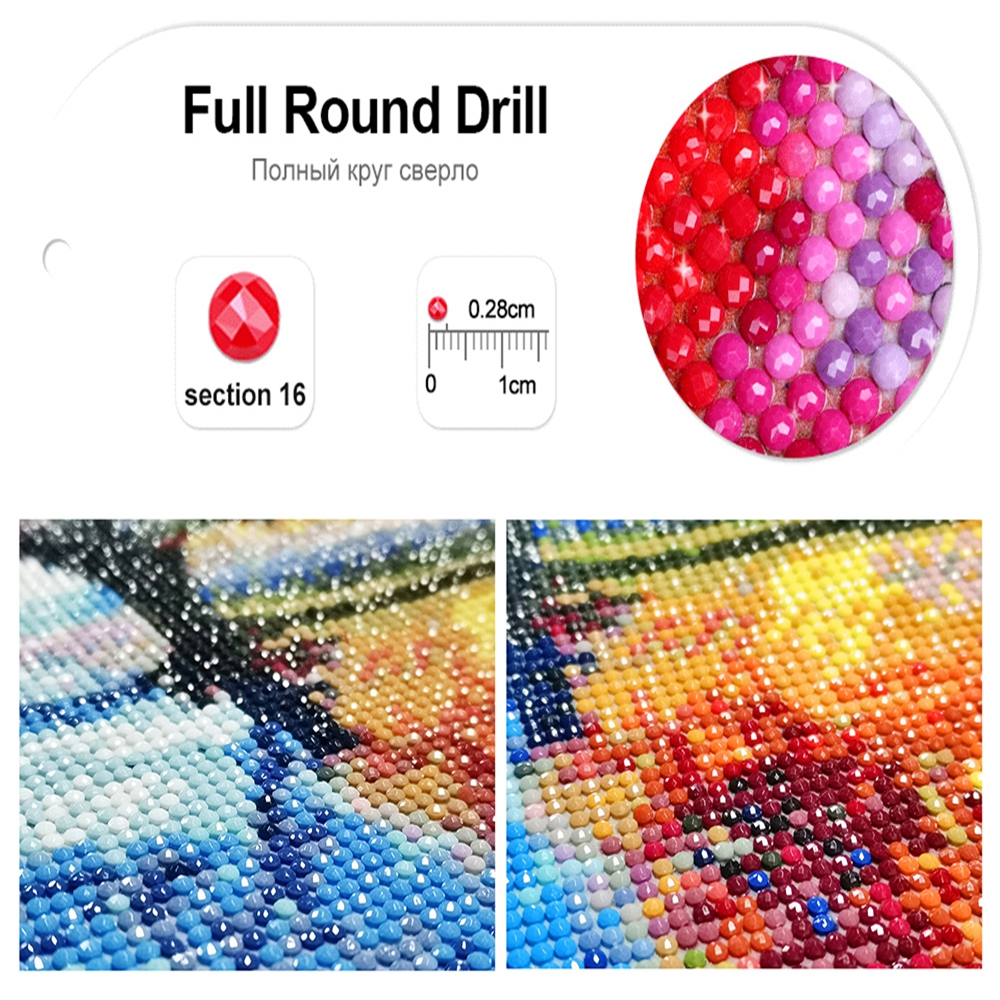 5D DIY Diamond Painting Gratef - Resin Art With Rose recensie en prijs