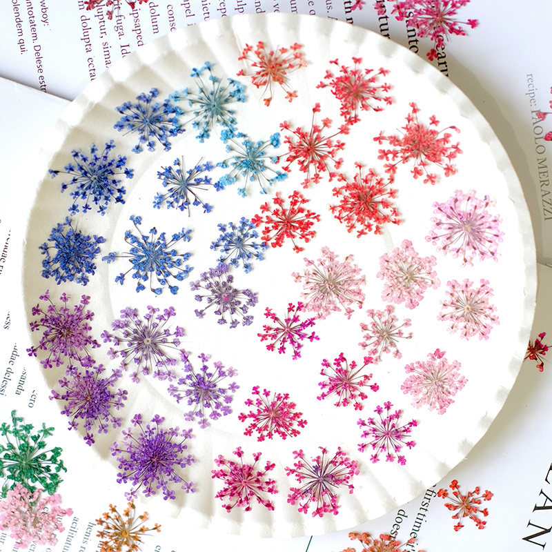 24pcs,2-2.5cm,nature Dyed Mini - Resin Art Baby recensie en prijs