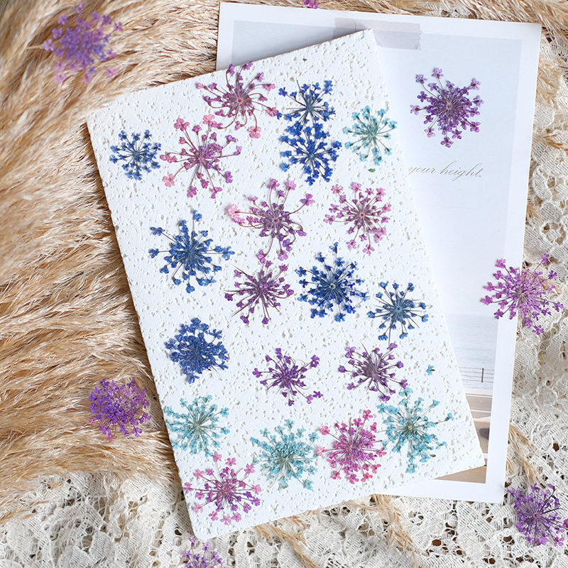 24pcs,2-2.5cm,nature Dyed Mini - Resin Art Baby recensie en prijs