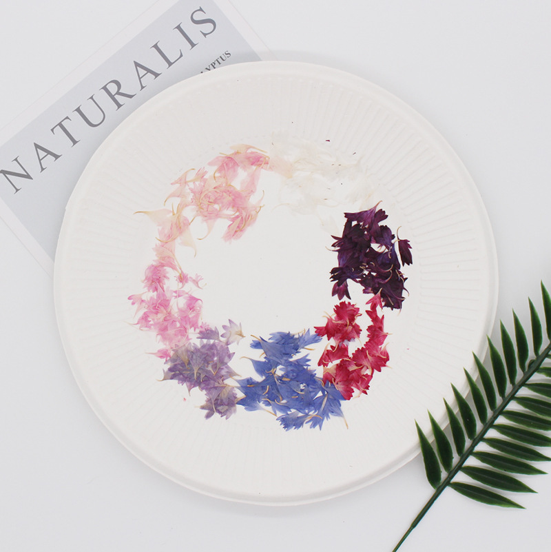 20 Plant Specimens, Cornflower - Resin Art Baby recensie en prijs