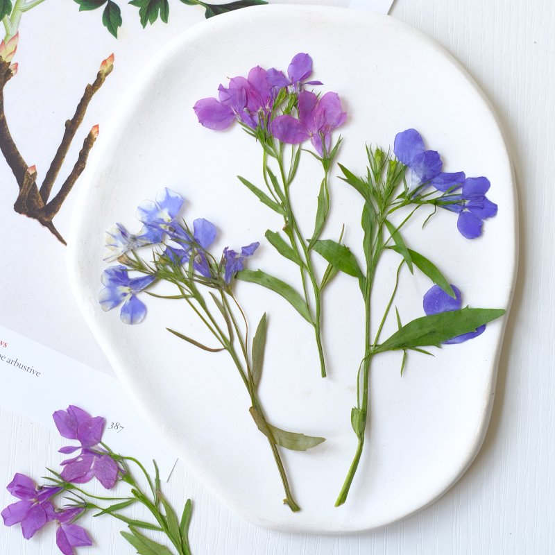 6pcs/8-13cm,nature Lobelia Eri - Resin Art Baby recensie en prijs