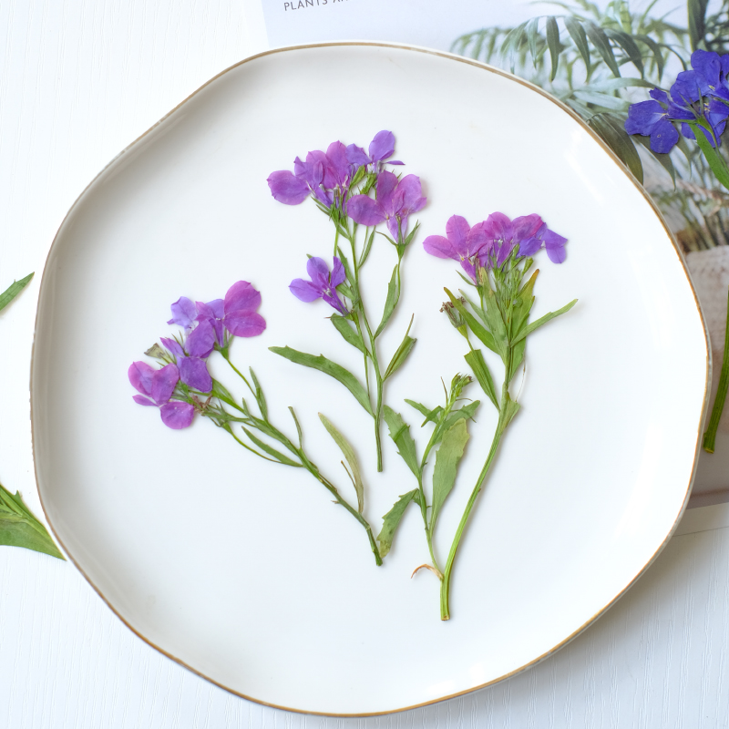 6pcs/8-13cm,nature Lobelia Eri - Resin Art Baby recensie en prijs