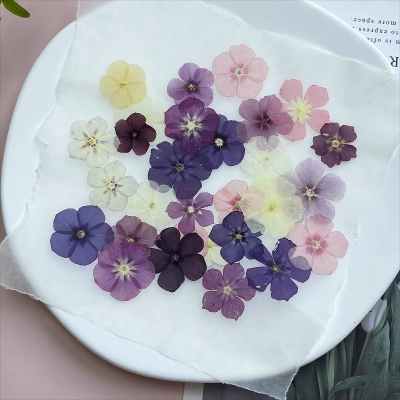 12pcs,Semi-Transparent Niche P - Resin Art Baby recensie en prijs